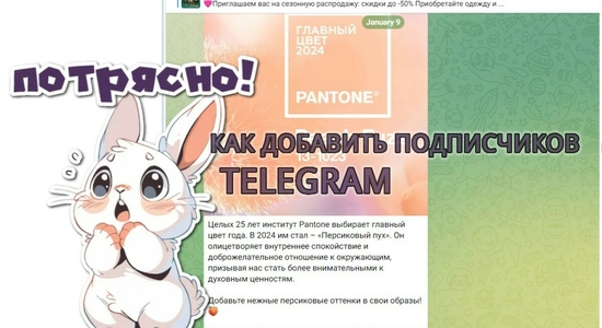 Сколько стоит подписчик ВКонтакте: анализ и сравнение цен