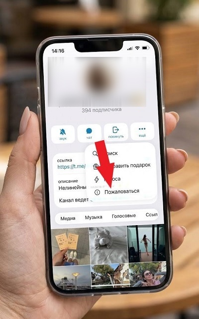 как кинуть жалобу в тг