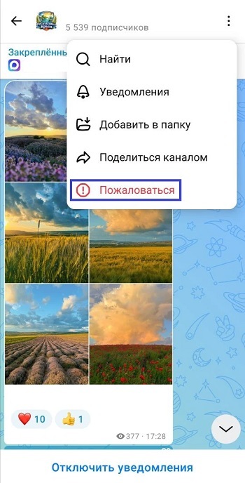 как кинуть жалобы в макс