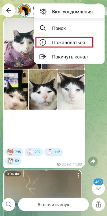 как подавать массовые жалобы в тг