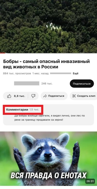 Почему в google chrome не отображаются комментарии youtube?