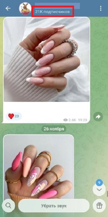 пиар тг канала бесплатно