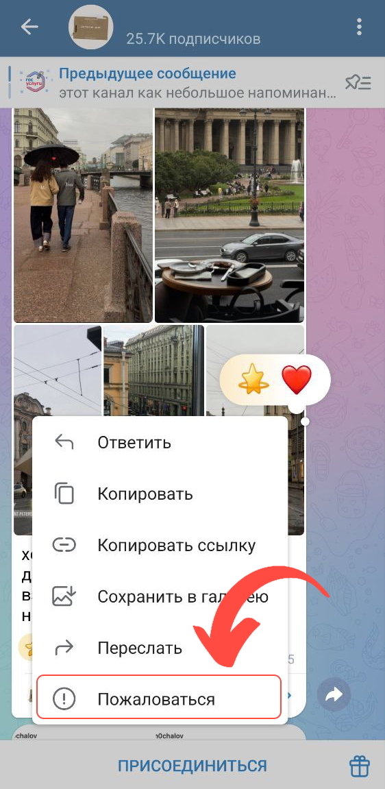 зачем нужны жалобы в тг зачем нужны жалобы в тг