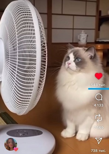 где брать лайки в инстаграме где брать лайки в инстаграме