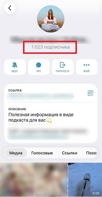 сколько нужно подписчиков телеграм