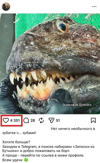 накрутка лайков инст бесплатно