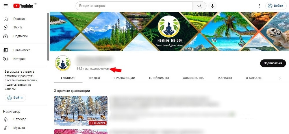 накрутка живых подписчиков ютуб