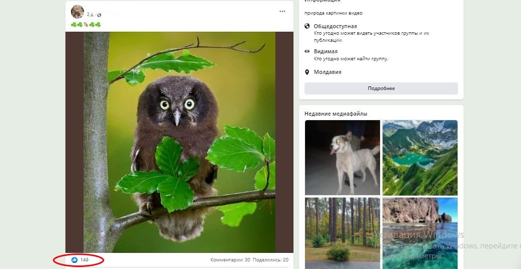 накрутка лайков facebook постов