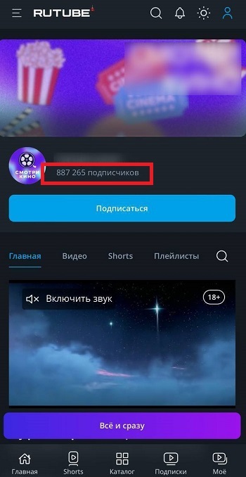 как накрутить подписчиков рутуб