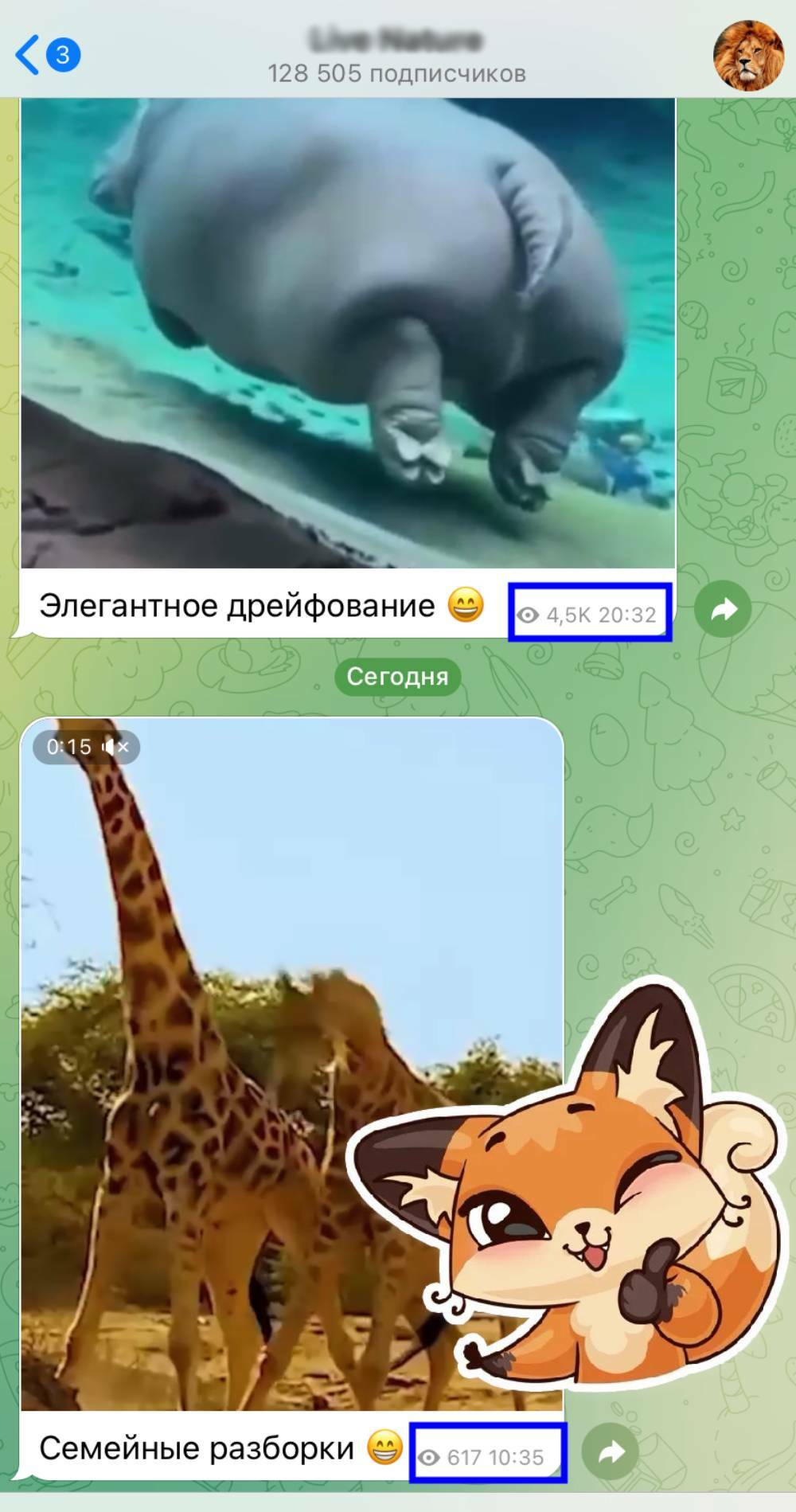как сделать один просмотр в тг