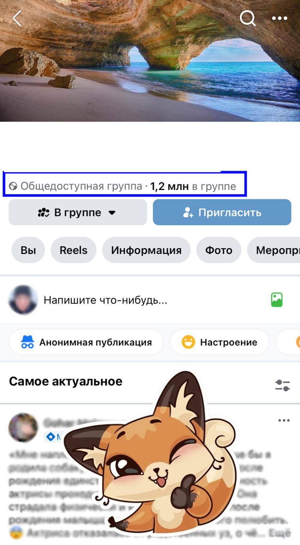 продвижение в фейсбуке