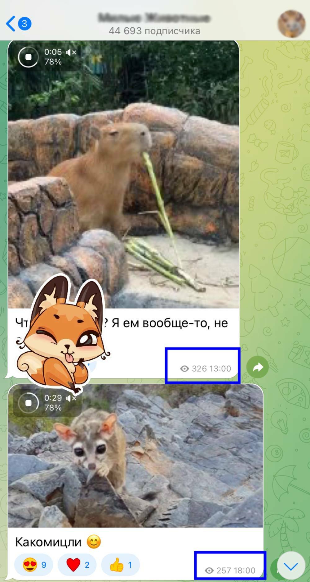 как увеличить просмотры в тг