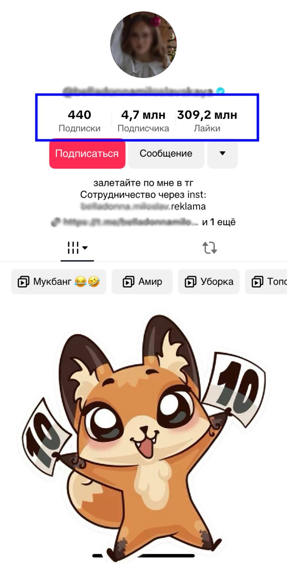 накрутка тик ток 1000 подписчиков