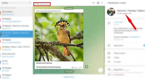 Как найти подписчиков в Инстаграм бесплатно - поиск с нуля по схеме